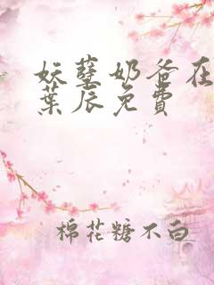妖孽奶爸在都市叶辰免费