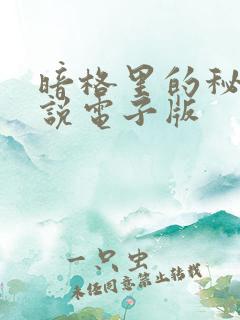 暗格里的秘密小说电子版