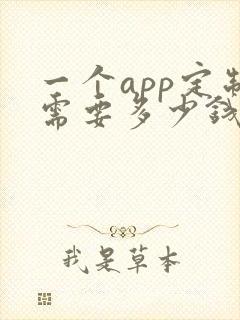 一个app定制需要多少钱