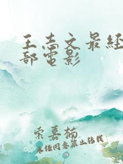 王志文最经典十部电影