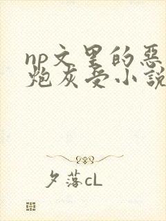 np文里的恶毒炮灰受小说