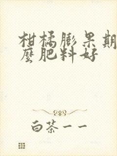 柑橘膨果期用什么肥料好