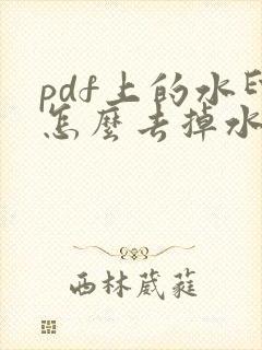 pdf上的水印怎么去掉水印