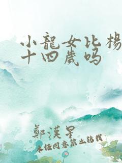 小龙女比杨过大十四岁吗