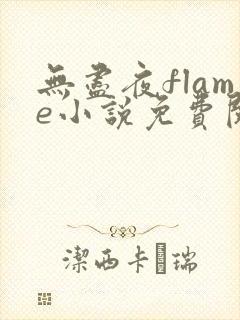 无尽夜flame小说免费阅读