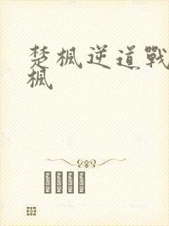 楚枫逆道战神楚枫