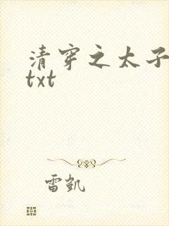 清穿之太子娇妃txt