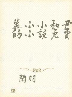 慕小小和尹少桀的小说免费