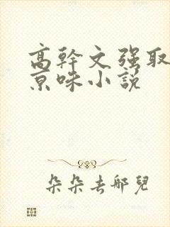 高干文强取豪夺京味小说
