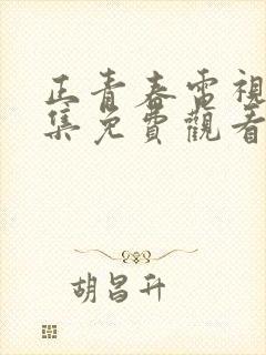 正青春电视剧全集免费观看完整版