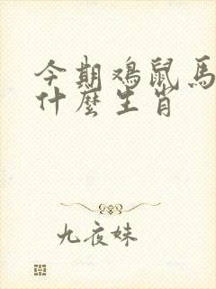 今期鸡鼠马出特什么生肖