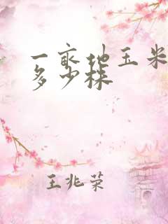一亩地玉米大概多少株