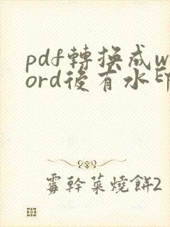 pdf转换成word后有水印怎么去掉