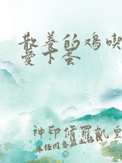 散养的鸡吃什么爱下蛋