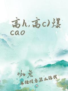 高h,高c)爆cao