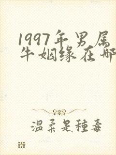 1997年男属牛姻缘在哪年