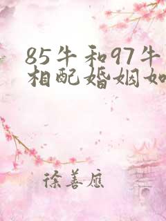 85牛和97牛相配婚姻如何