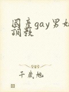 国产gay男奴调教