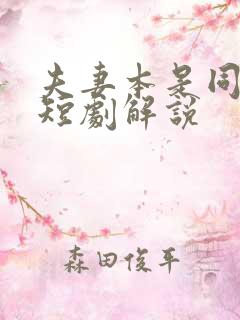 夫妻本是同林鸟短剧解说