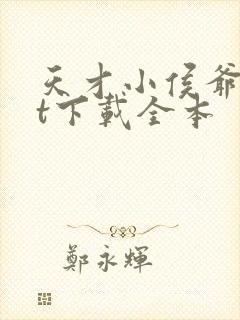 天才小侯爷txt下载全本