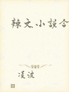 辣文小说合集h
