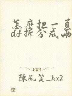 怎么把一页的pdf拆分成两页