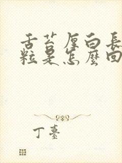 舌苔厚白长小肉粒是怎么回事