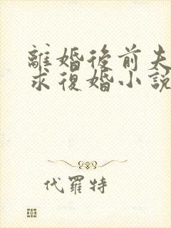 离婚后前夫哭着求复婚小说txt下载