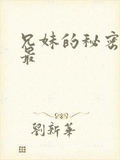 兄妹的秘密授课最