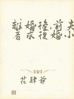 离婚后,前夫哭着求复婚小说阅读