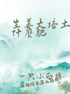 生姜大培土后用什么肥