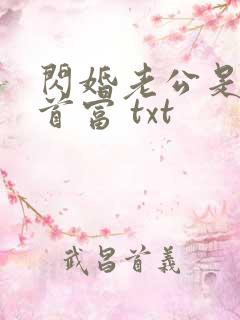闪婚老公是千亿首富 txt