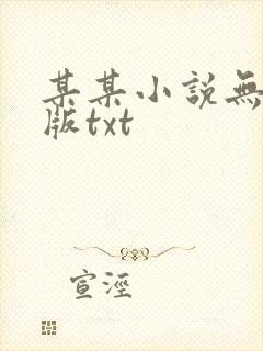 某某小说无删减版txt