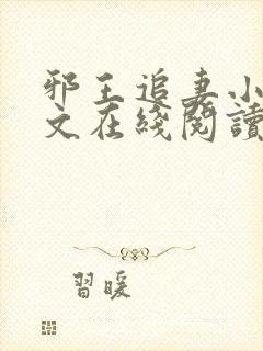 邪王追妻小说全文在线阅读