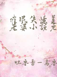 催眠失忆美母变老婆小说免费阅读