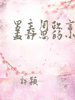 男主周政言女主孟静思的小说