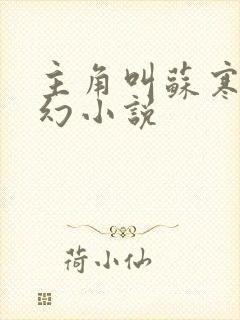主角叫苏寒的玄幻小说