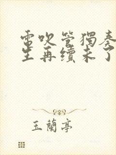 电吹管独奏曲来生再续未了情曲谱