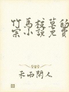 竹马校草的小祖宗小说免费阅读