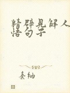 精辟见解人生感悟句子