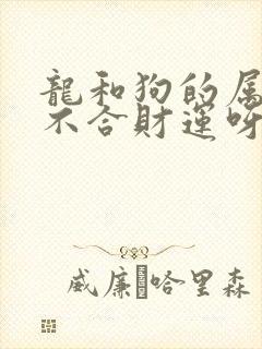 龙和狗的属相合不合财运呀