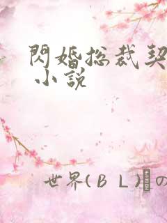 闪婚总裁契约妻 小说