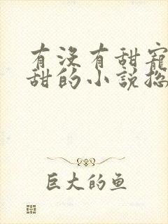 有没有甜宠文超甜的小说总裁文