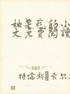 她是我的小说全文免费阅读