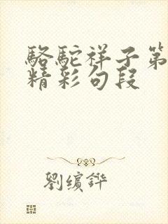 骆驼祥子第五章精彩句段
