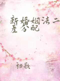 新婚姻法二婚财产分配