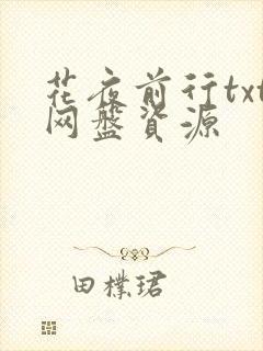 花夜前行txt网盘资源