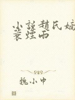 小说赵氏嫡女一蓑烟雨