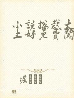 小说总裁大人晚上好免费阅读全本