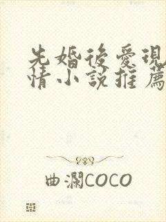 先婚后爱现代言情小说推荐